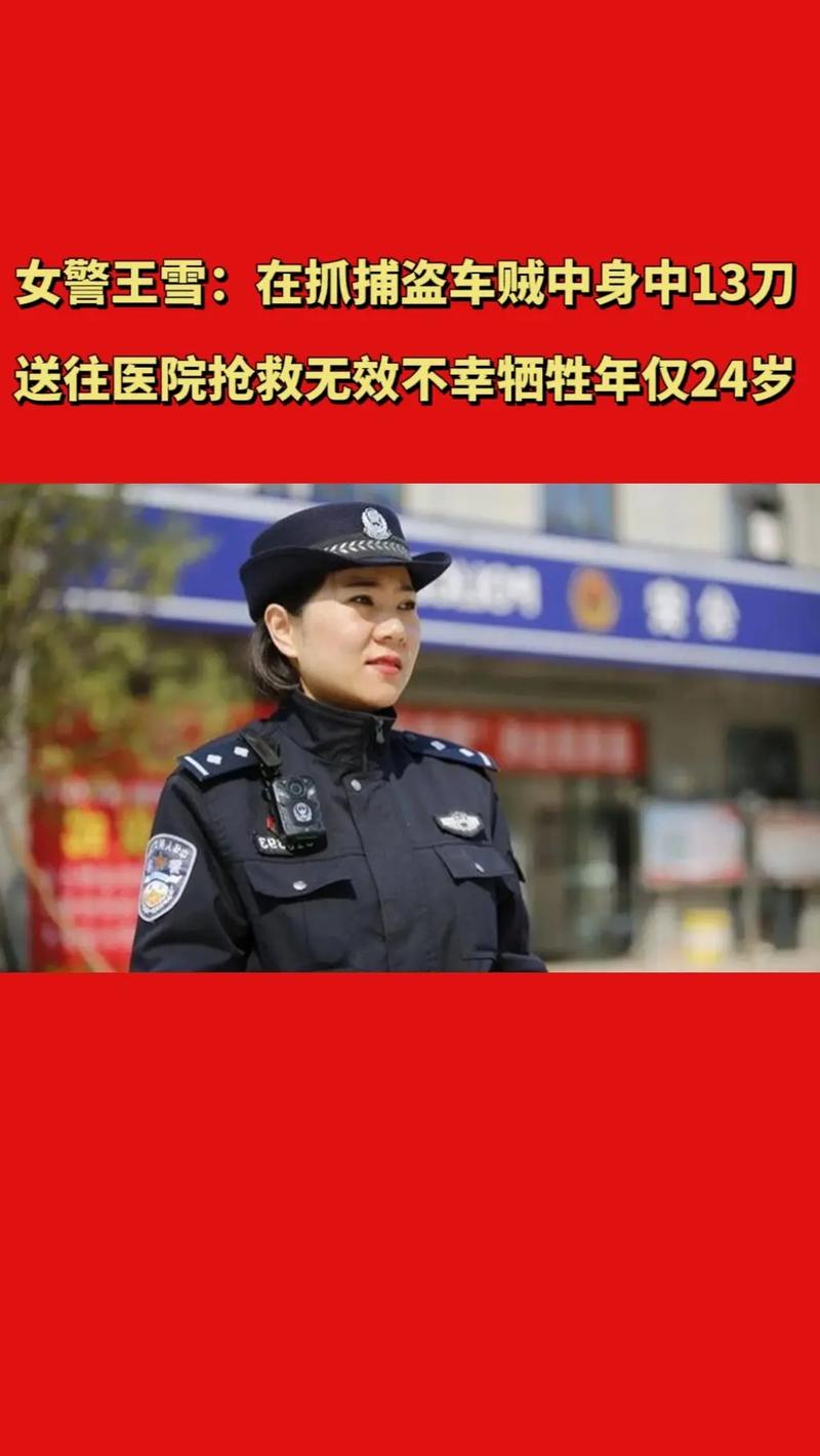 全国每年因为抓罪犯而牺牲的警察有多少「29岁女交警执勤牺牲了」 美容养生