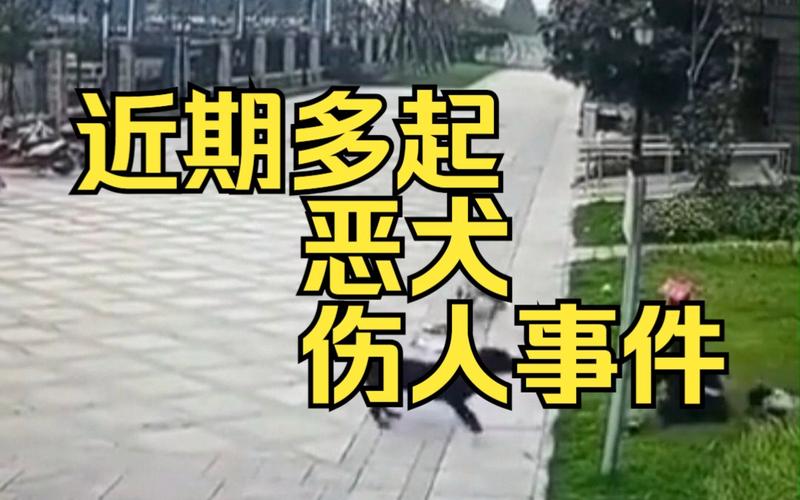 江苏南通如皋市发生恶犬伤人事件，现在已经被抓获，为什么出现这种事件「养上百斤水牛当宠物可以吗」 美容美体