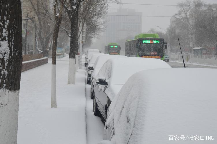 张家口什么地方下雪了「河北张家口下雪了吗」 药膳养生